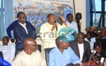 Comité directeur du Pds : Mbaye Pekh réconcilie Amy Dioum et Massaly