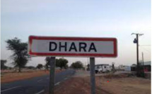 Difficiles conditions de vie précarité, soif, diktat des usuriers, au menu des Djolof-Djolof