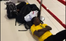 Insolite / Faute de visa : Les Lions du Basket coincés à Istanbul