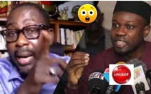  "Comment Ousmane Sonko va être emprisonné, tué et...", graves révélations de Pape Alé Niang