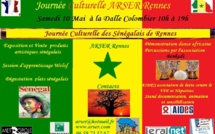Vidéo - Journées culturelles des Sénégalais de Rennes 2014: L'ARSER a réussi son pari !