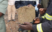 Joal : 253 kg de Yamba saisis par la Brigade territoriale