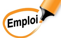 Leral/Job : Un monteur expérimenté cherche emploi 