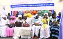 Touba : 1000 femmes récipiendaires formées par ONU-FEMMES