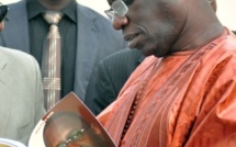 Wade-Idy : La covalence des aigris - Par Diène Farba Sarr