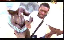 Vidéo - Les délires de "Ass Ay Gaf" 