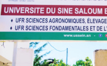 Kaolack Gestion de l’université du Sine Saloum El Hadji Ibrahima Niass : Les enseignants chargent le Rectorat
