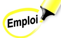 Leral/Job: Un jeune infographiste cherche emploi