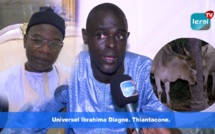Touba Safar : Ibrahima Diagne Universel offre des bœufs et chameaux à Serigne Saliou Thioune