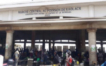 Marché central au poisson de Kaolack : Les mareyeurs observent 72 heures de grève à partir de ce mercredi