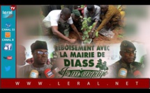 Diass Commune verte / Démarrage campagne de reboisement: 1150 plants répartis dans 17 villages