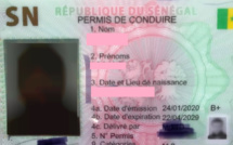 Cheikh Oumar Gaye, directeur de l’Agence nationale de sécurité routière : «Il faut un délai de trois ans pour l’application du permis à points»