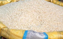 Taxe sur l’exportation: Une éventuelle hausse du prix du riz au Sénégal en perspective