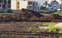 Après le passage de "son" Caterpillar sur le site des sinistrés de Tobago: Fallou Guèye localisé à Touba