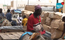 Touba: Le trafic routier et l'indiscipline des usagers, cet autre facteur bloquant du Magal