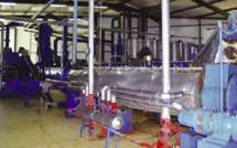 Installation d’usines de farine de poisson au Sénégal : Le ministère serait en train de travailler, pour mettre en place un cadre règlementaire
