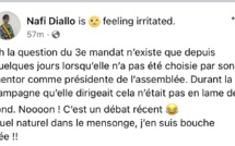 Sortie sur un 3ème mandat, raison de sa discorde avec Macky : Nafi Diallo traite Mimi Touré de tous les noms !