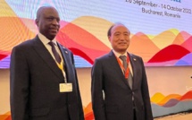Télécommunications - En route pour sa réélection au Conseil de l’UIT : Le Sénégal rassure son monde
