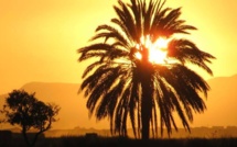 Vidéo - L'histoire de Oubayd Ibnou Oumayr - Par Docteur Mouhammad Ahmad Lô