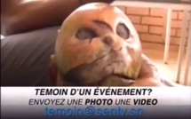 Vidéo : Une mangue qui ressemble à un crâne humain