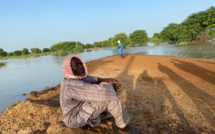 Podor : La crue du fleuve isole plusieurs villages de l’île à Morfil