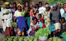 Le Sénégal parmi les trois pays visés par une campagne de vulgarisation des droits fonciers des femmes