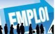 Leral/Job : Une societe de la place recrute un commercial