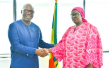 Audience / La ministre de la Santé et de l'Action sociale a reçu M. Ibrahima Cheikh Diongue, Sous-Secrétaire Général des Nations-Unies