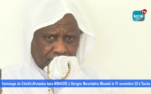 Hommage de Cheikh Ahmadou Kara Mbacké Noreyni à Serigne Mountakha Mbacké, le 11 novembre 2022, à Touba