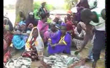 Vidéo: L'aquaculture, une solution par lutter contre la faim dans le Fouta