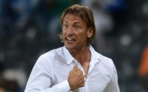 Côte d’Ivoire: Renard nommé sélectionneur