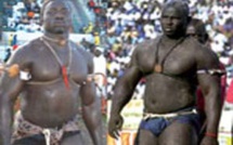 Vidéo - Bombardier répond à Gris Bordeaux 