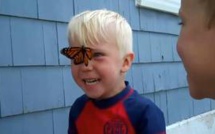Des enfants libèrent un papillon mais tout ne va pas se passer comme prévu. Regardez cet instant magique  
