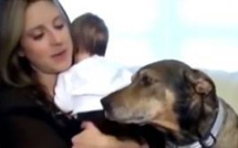 Ce chien a sauvé la vie d'un bébé. Son courage va vous épater