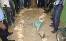 Mort de l'étudiant Bassirou Faye : L’expertise balistique conforterait la thèse de la piste policière 