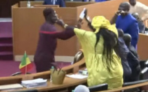 Quatorzième législature de l’Assemblée nationale :  La désolation des Amis de Diouf Sarr