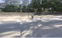 Ziguinchor: Ousmane Sonko se promène dans les rues à vélo 