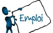 Leral/Job: Un Archiviste/ bibliothécaire cherche emploi