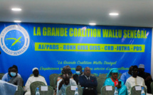 Assemblée nationale : C’est la Coalition Wallu qui a « tué » Mimi Touré ! 