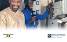 Les communes de Labgar, Téssékéré et Gamadji Saré, électrifiées : Plus de 500 villages déjà raccordés au réseau sur un projet de 2000 ciblés
