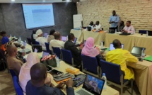 Développement sanitaire et social: Dr. Marie Khémesse Ngom Ndiaye évoque la mise en œuvre des meilleures stratégies