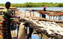 Gie Badeenaa Kafoo Diya : Pour l’autonomisation des femmes de Tambacounda