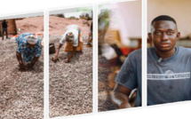 Boubacar Camara : L’exploitation de l’anacarde comme legs familial