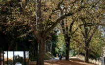 Horreur à Paris : Un corps de femme découpé, retrouvé dans le parc des Buttes-Chaumont