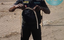 Mort de Bassirou Faye : Le policier Tombon Oualy, présumé tireur, arrêté