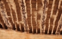 Bargny : la dalle d’une classe de l’école 4 de Castors s’effondre et blesse 15 élèves (Vidéo)