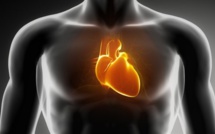 Crise cardiaque : quelques habitudes de vie simples permettraient de l'éviter
