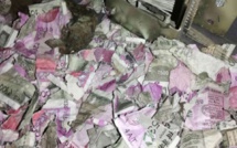 Histoires incroyables: Des rats ont détruit des billets de banque, à l'intérieur d'un distributeur automatique de billets