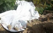 Profanation de tombes à Kolda : Du nouveau dans cette affaire 