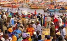 Pêcheries artisanales au Sénégal : Des propositions de réformes pour sauver le secteur